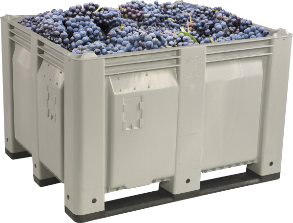 MACX Solid Container with Solid Side and Base Grapes